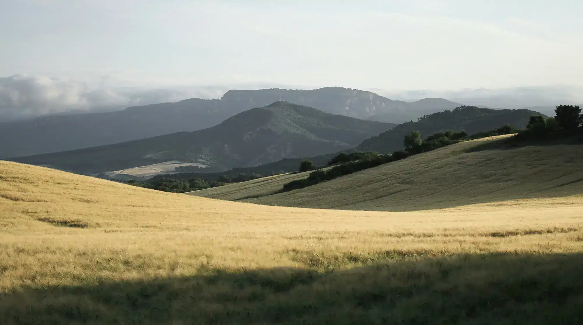 Seguridad Pública y Gestión de la Emergencia